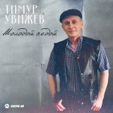 Песня Тимур Увижев - Молодой седой