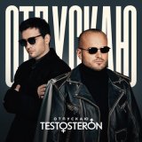 Песня TESTOSTERON - Отпускаю (Radio Edit)