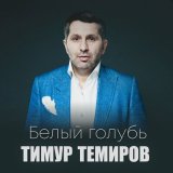 Песня Мила Иконская, Тимур Темиров - Ромашка